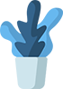 elm-vase